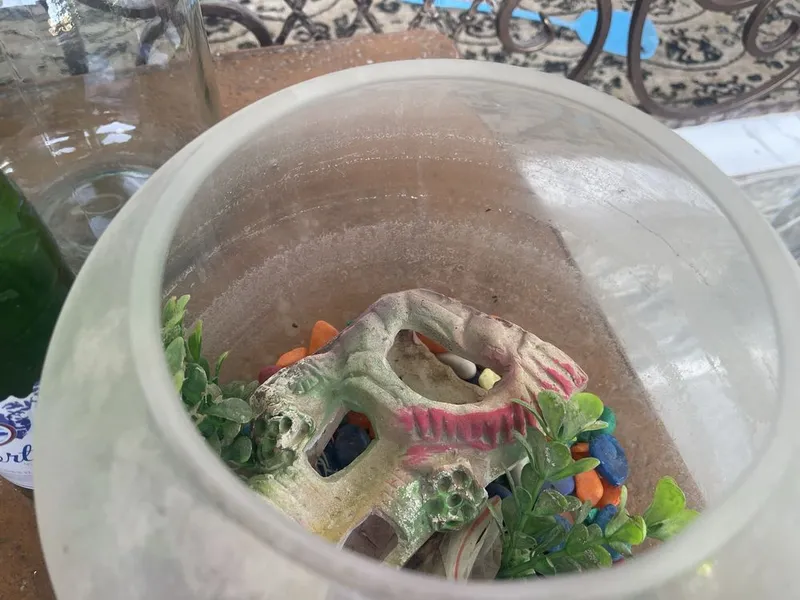Akvarium 5l ichide hamma narsasi bilan