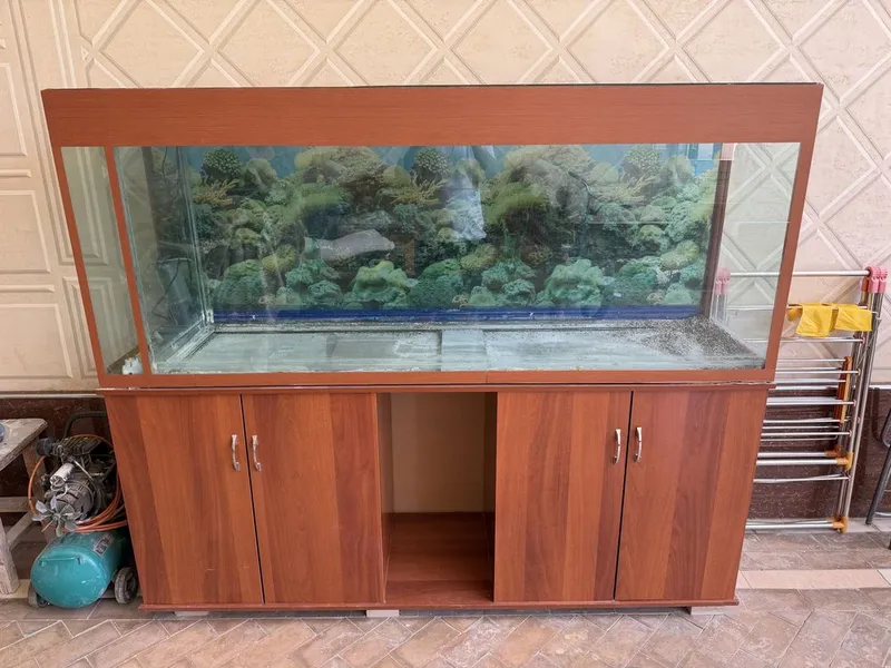 Аквариум ( akvarium) 1 tonnalik
