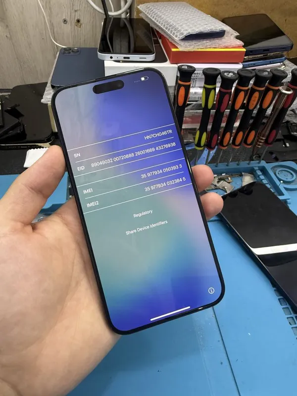 15 promax icloud 6