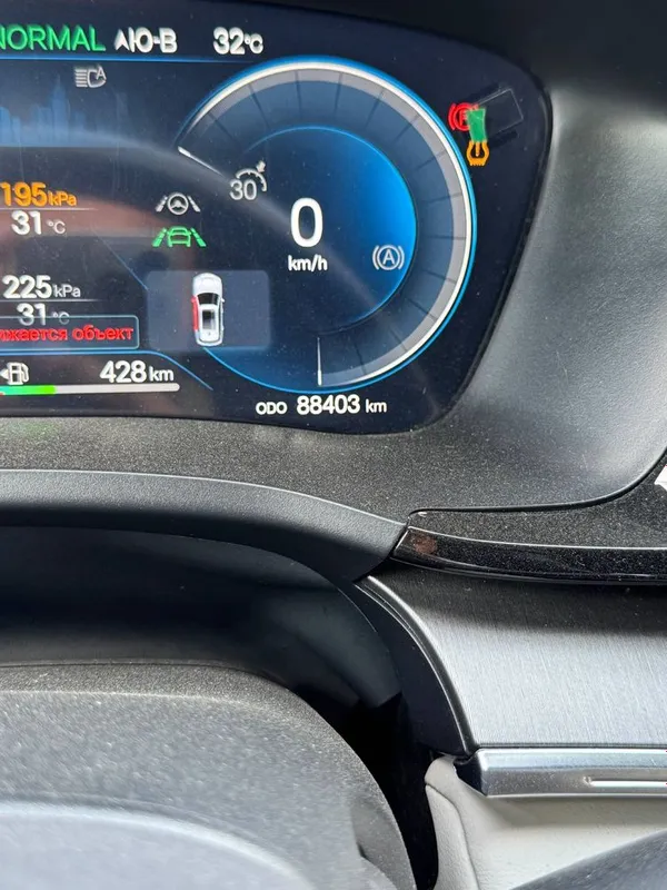 Byd chempion gibrid, 150 talik sotiladi 6