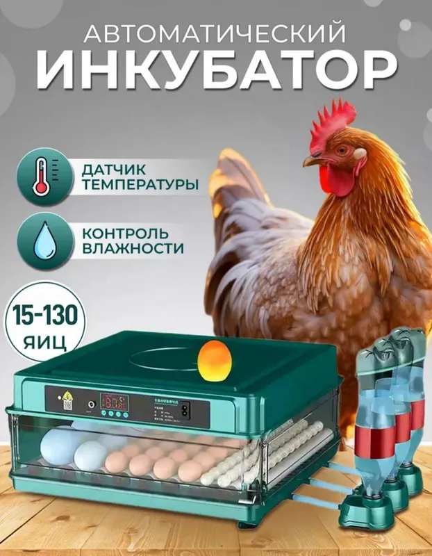 Инкубатор  Автомат Заводской 2