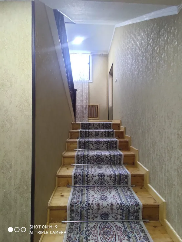 Ковры и дорожки — фото 2
