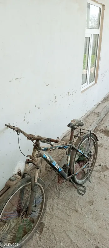 Velosioed. Forword, tuzatib haydadh uchun zoʻr tanlov.