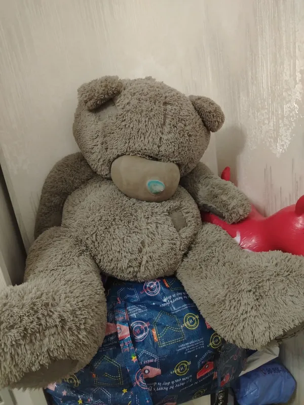 Teddy ayiq +yonidegi ewakni bervoraman
