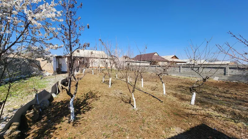 Hovli uy Do'stlik qo'rg'oni.Oktyabr 16sotix 4 Hovli uy Do'stlik qo'rg'oni.Oktyabr 16sotix 4