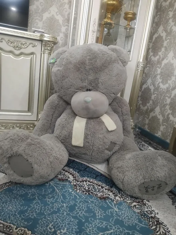 Teddy