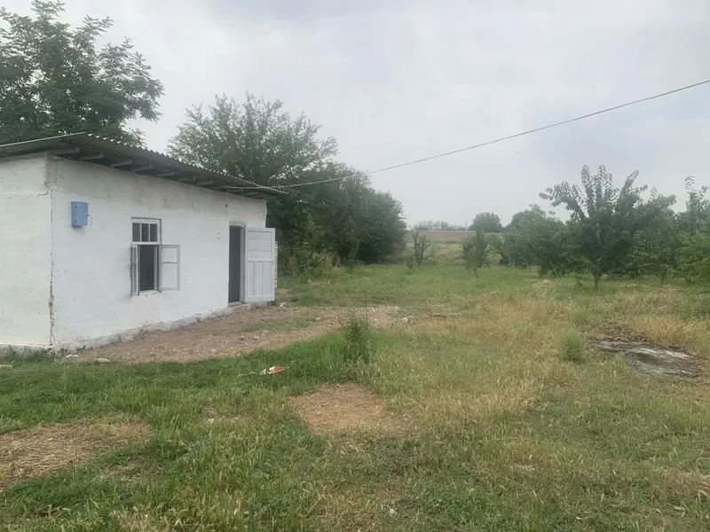 Bog 30 sotx tayyor dakumenti bor