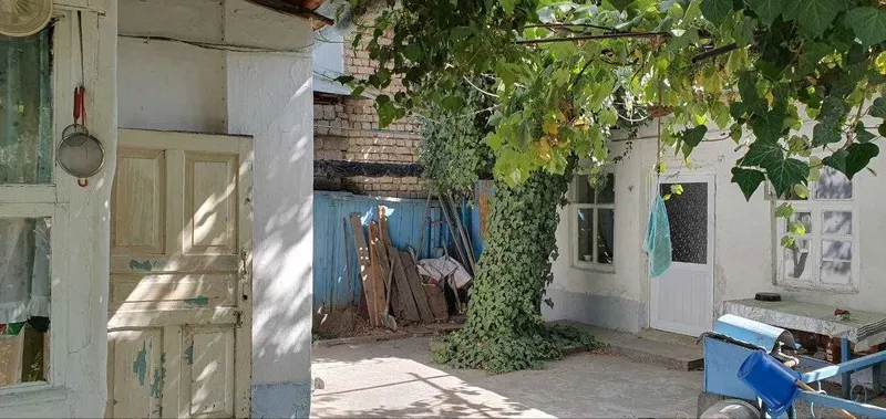 Дом 3 комнаты, 2.1 сотка Гринвич, 3-я поликлиника, Мирабадский р-н — фото 4