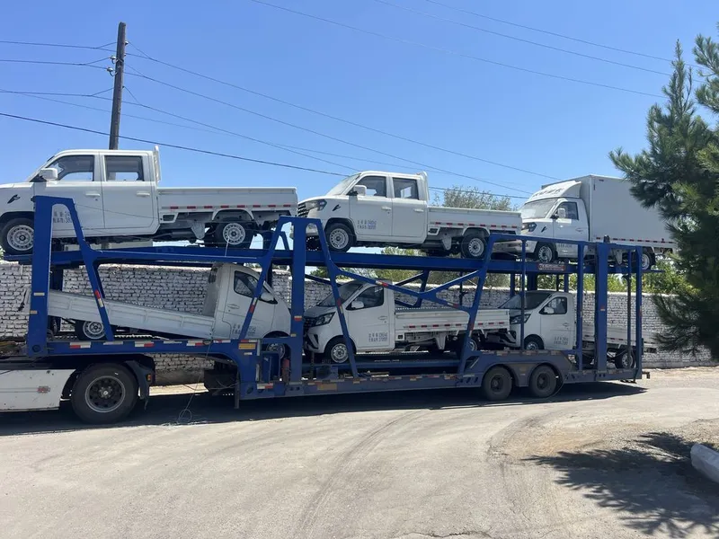 Changani hama turidan bor Changani hama turidan bor