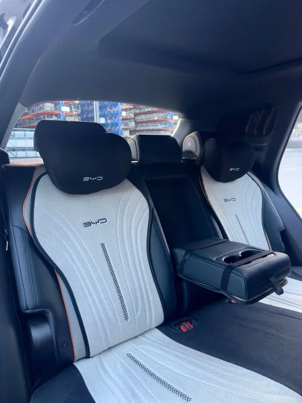 Подголовник подушка для BYD — фото 4