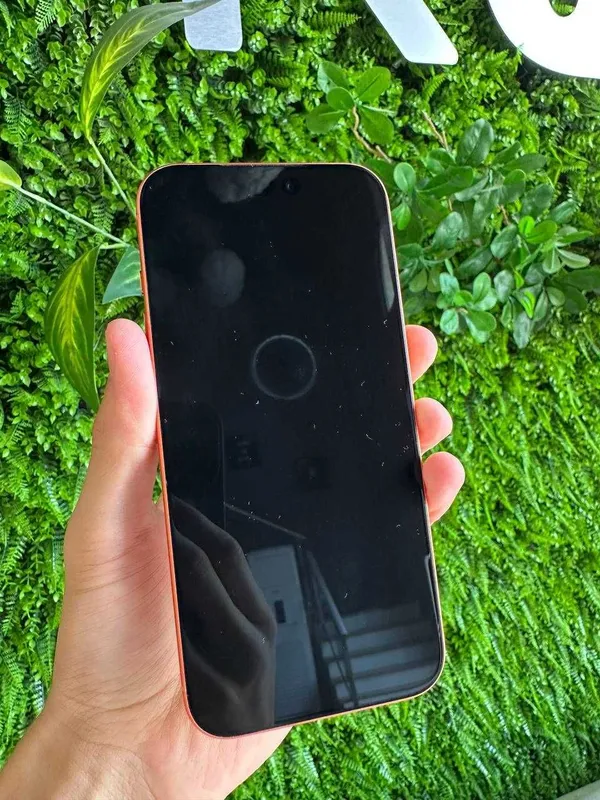 iPhone 17 Pro Max 256Gb 100% 2