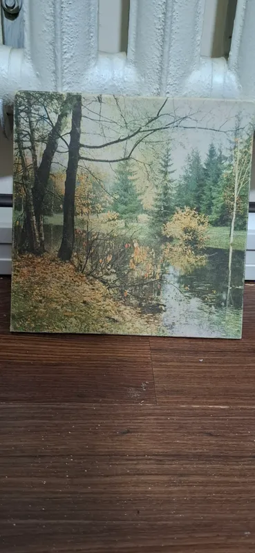 картинка ссср 1981 год 2