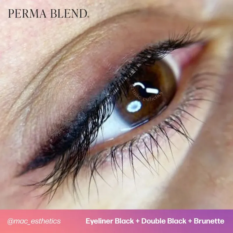 Perma Blend Пигмент для татуажа глаз "Eyeliner Black" 15 мл. 3 Perma Blend Пигмент для татуажа глаз "Eyeliner Black" 15 мл. 3