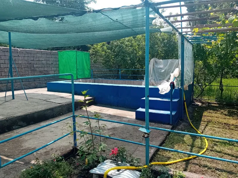 dacha 2