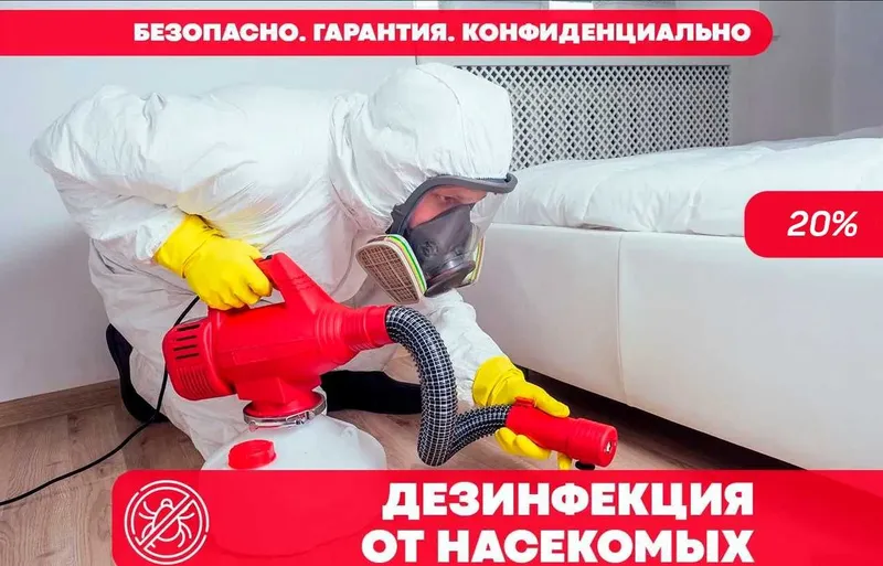 Dizinfeksiya klapa chumoli tarakan дезинфекция дезинсекция dezinfeksiy