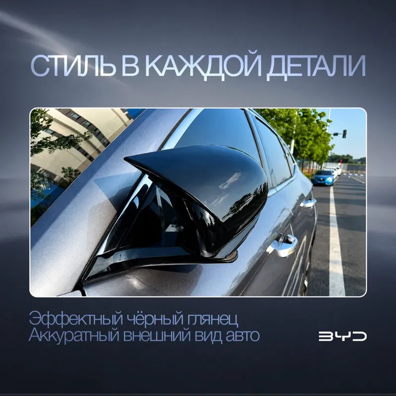 Элегантная боковая накладка для BYD Champion — фото 1