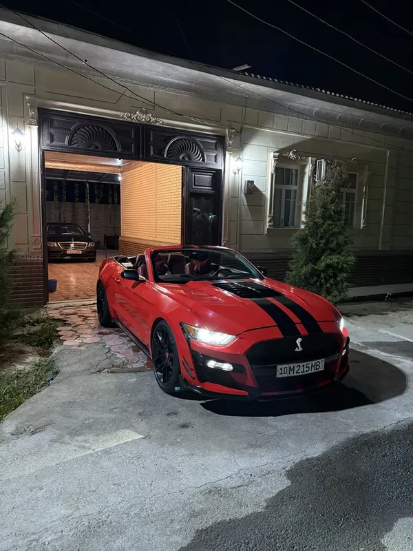Mustang Kilip va radom toy yaxshi kunalda xizmatka tayor