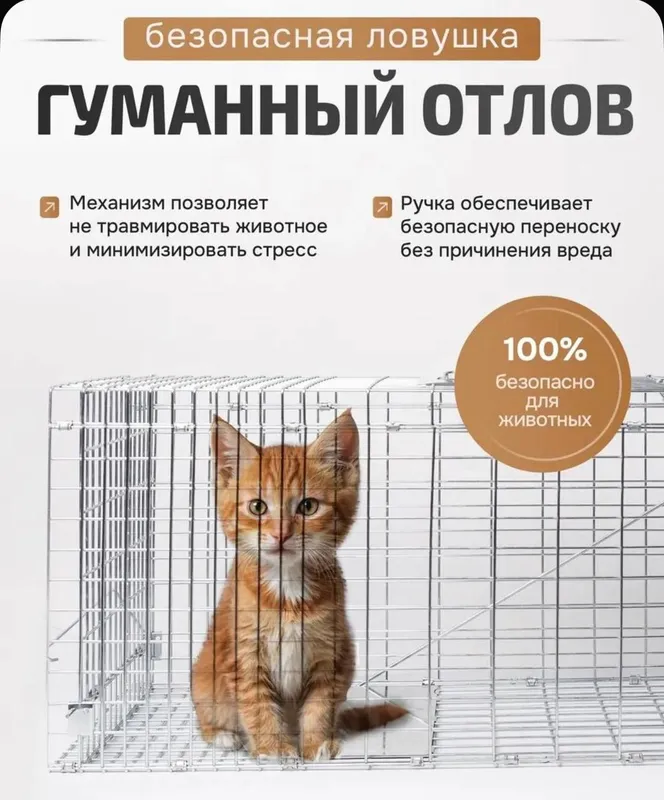 Гуманная ловушка для птиц кошек крыс — фото 2