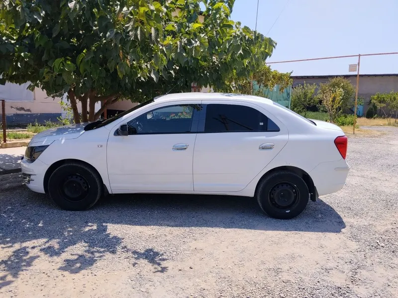 Cobalt 2019 Ravon 6 Cobalt 2019 Ravon 6