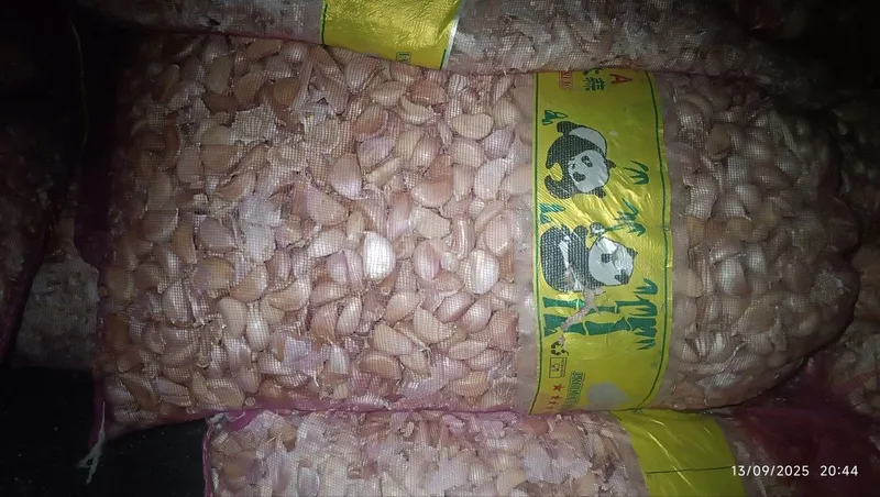 chisnok sotiladi yaqinda terib olingan sifatiga zor chisnok sotiladi yaqinda terib olingan sifatiga zor