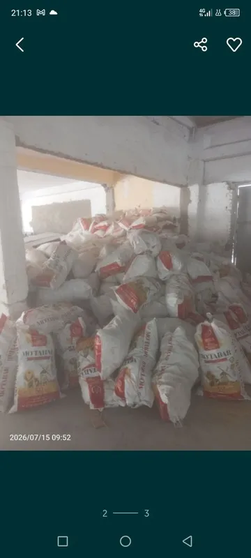huzum Utin optim narxlarda arzoniga beramiz apilka xaltalangan utin 1