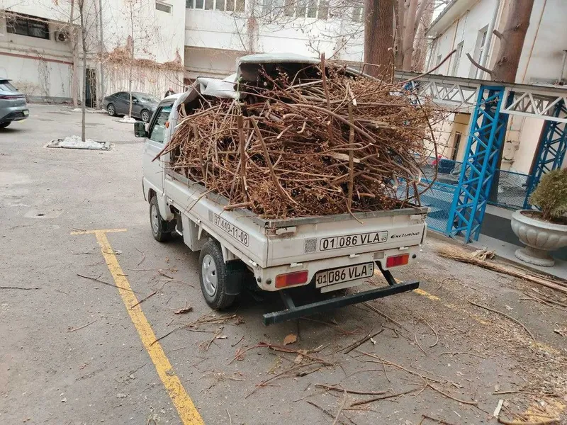 Вывоз мусора stroy musor chiqindi — фото 5