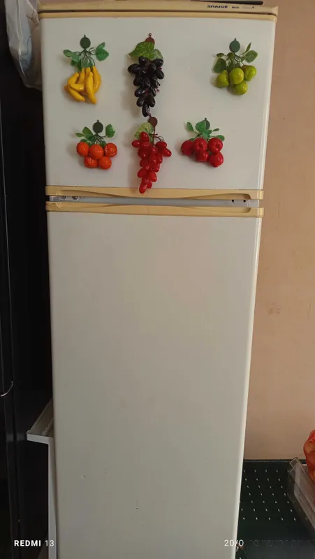 Muzlatgich snaige Muzlatgich snaige