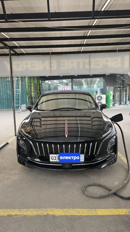 Hongqi eqm5 elektromobil