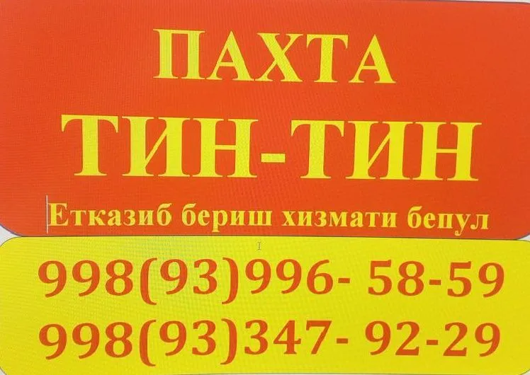 Пахта тин тин сифат хамён боб йетказиб бериш хизмат мавжуд ва бепул Пахта тин тин сифат хамён боб йетказиб бериш хизмат мавжуд ва бепул