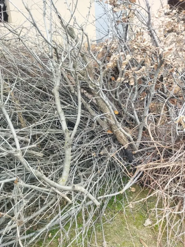 Продаю дрова. — фото 6