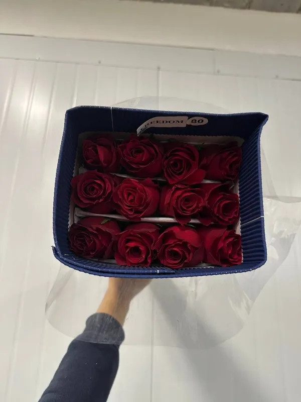 Лучшие розы по 37.000 сум