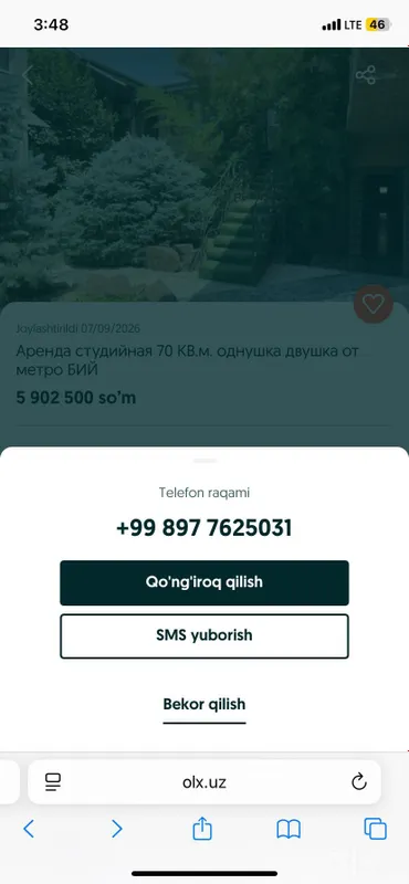 mushukcha котяти 2 месяц пародистые скоттиш фолд хайланд лоток знают 1 mushukcha котяти 2 месяц пародистые скоттиш фолд хайланд лоток знают 1