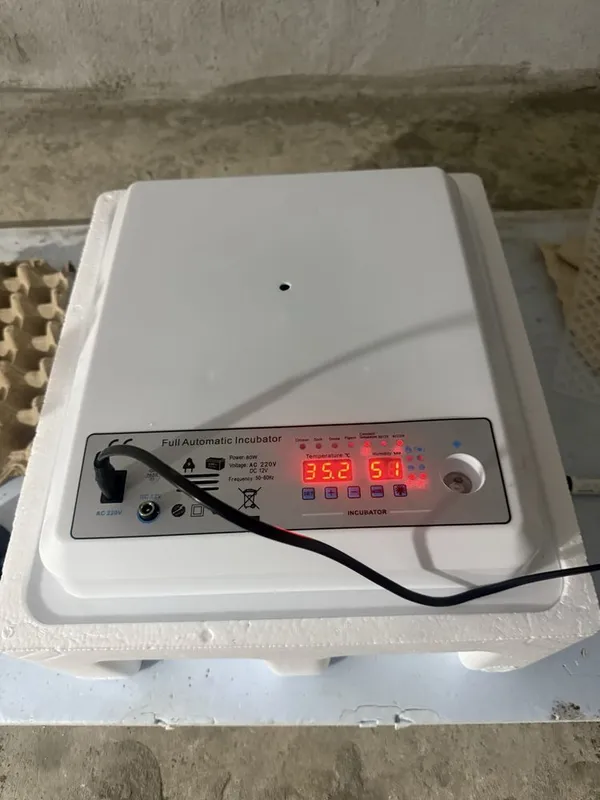 Inkubator 36, 64