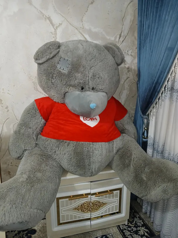teddy katta ayiq