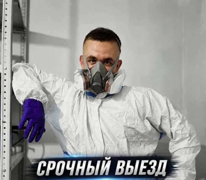 Dezinfeksiya xizmati | Дезинфекция 24/7 | Клопы тараканы | Выезд 1 час 7 Dezinfeksiya xizmati | Дезинфекция 24/7 | Клопы тараканы | Выезд 1 час 7