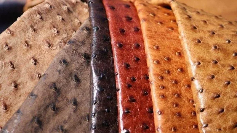 Туякуш териси, кожа страуса,tuyaqush terisi,