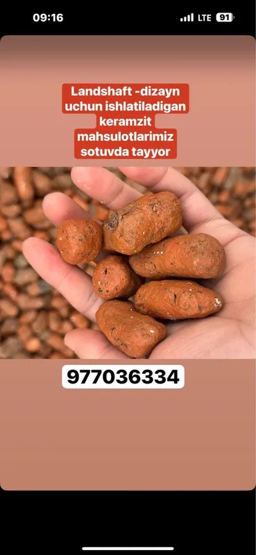 Dekaratsiya uchun maxsus Toshkent shahar va Viloyatlarga