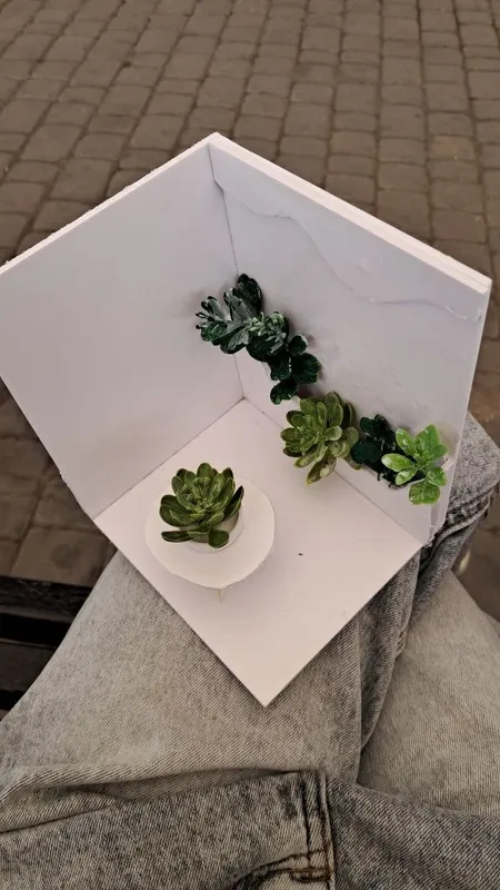 Макет из фомакса