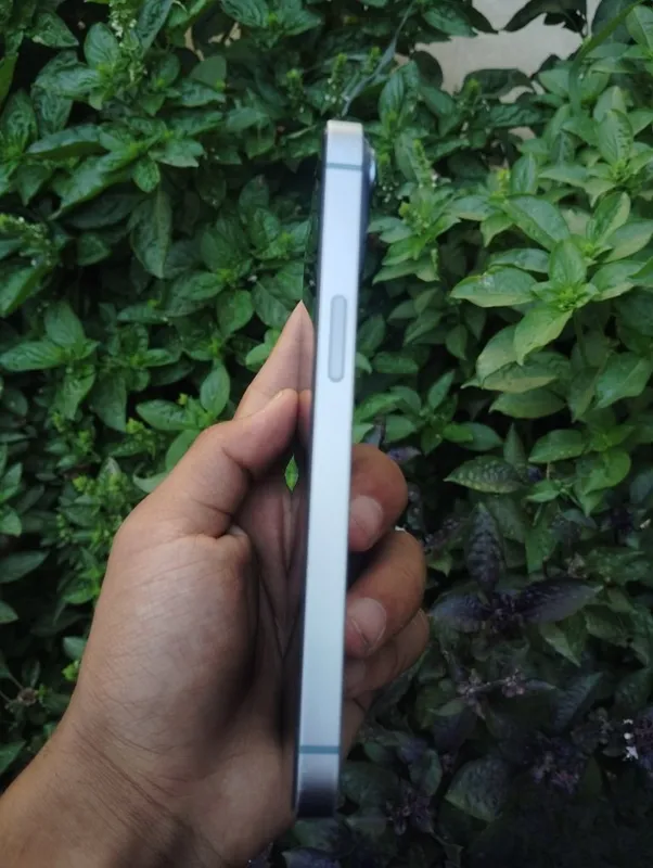 Iphone 14 92% sotiladi 5 Iphone 14 92% sotiladi 5
