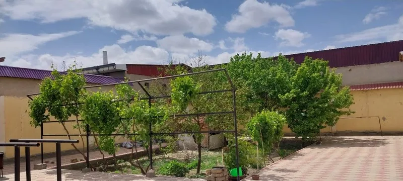 6sotxli katedj sotiladi.