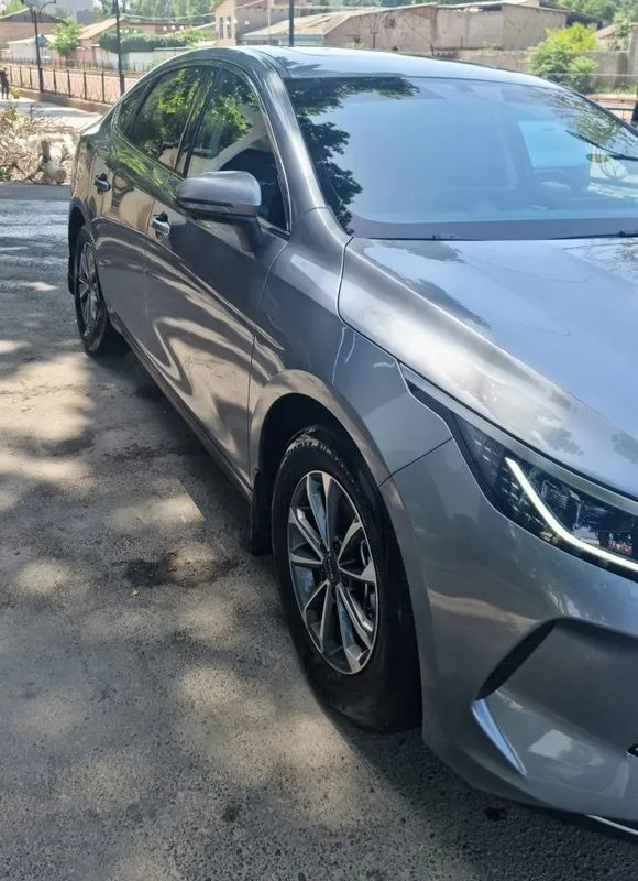BYD Chazor Luxe 55 km — фото 2