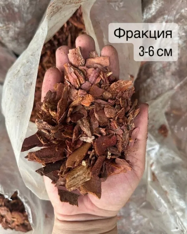 Кора лиственницы сибирской 4 Кора лиственницы сибирской 4