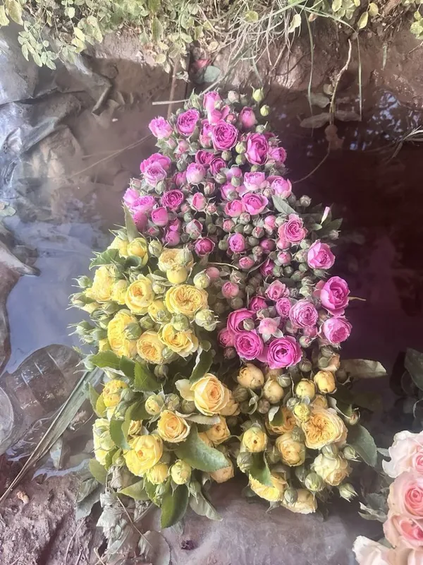 atir gullar har xil turdagi kochatlar — фото 2