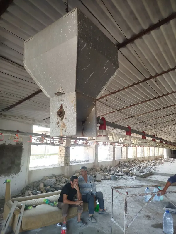 Broler uchun boqadigan uskunalari 6