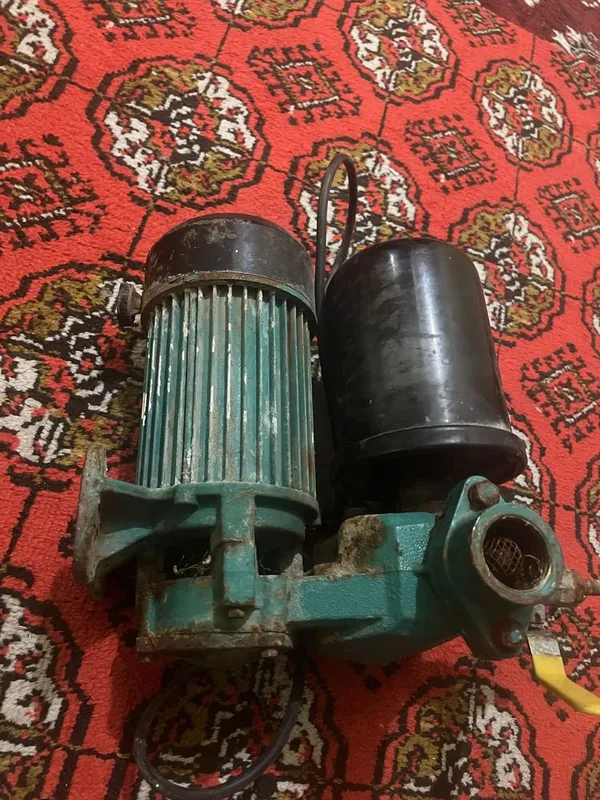 Shimgi nasos 37 lik
