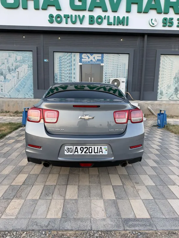 Malibu 1 2 poz 2012 7