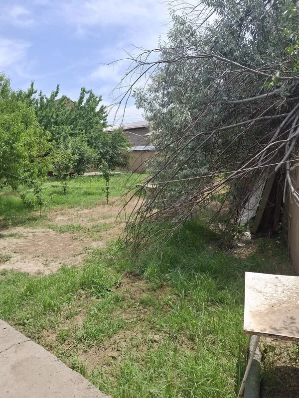 Fayizli uy sotiladi. Oltin tepada yengi toshiidan kirganda. — фото 6