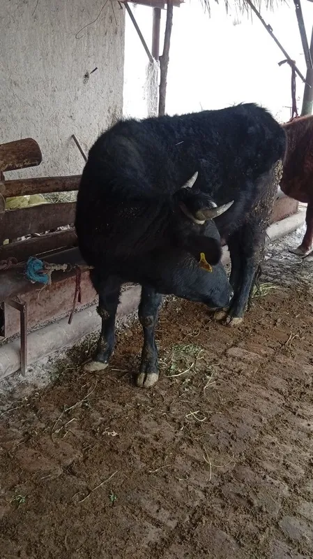 Tjtj.kekfkfggggg