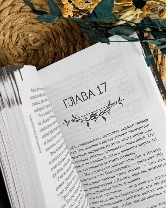 Книга ✨Мантия Вампира✨ 4 Книга ✨Мантия Вампира✨ 4