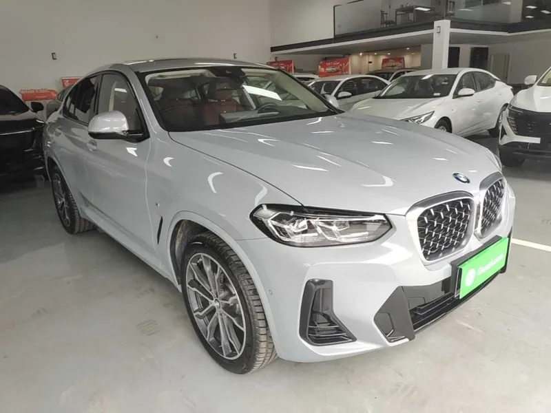 BMW X4 xDrive 30i M Sport Package — фото 4